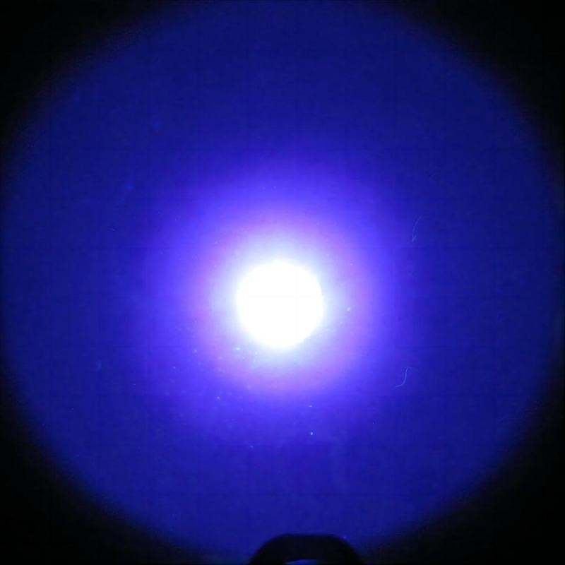 G60 Drop-in 4W 395nm Ultraviolet UV Black Light LED Module Replacement Bulb Assembly 